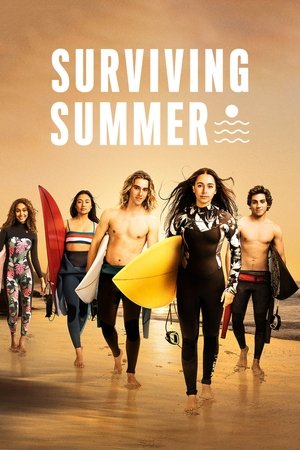 Surviving Summer - Vj Soul