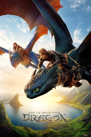 How to Train Your Dragon - Vj Neil