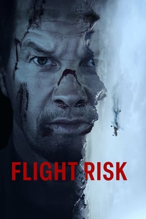 Flight Risk - Vj Junior