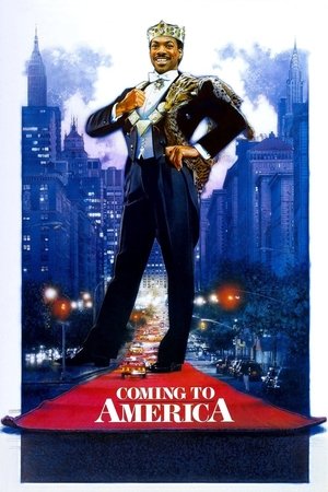 Coming to America - Vj Heavy Q