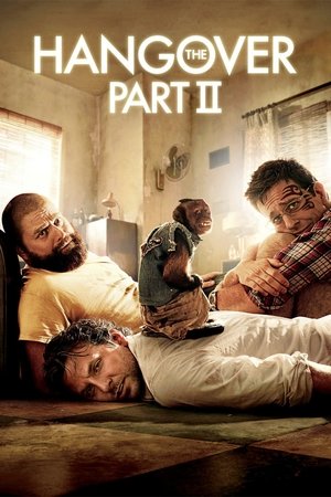 The Hangover Part 2 - Vj Junior