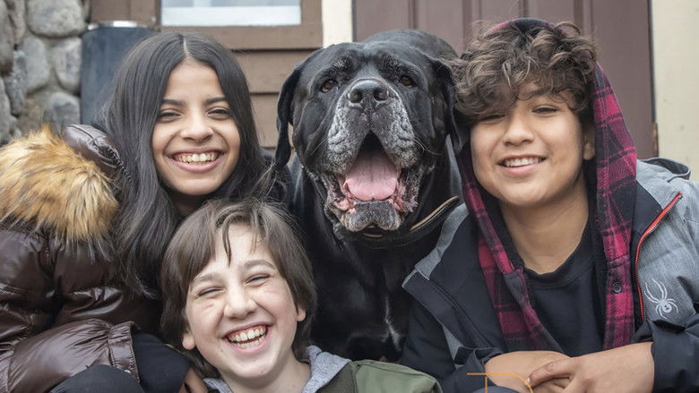 Dog Patrol: Operation Santa Paws