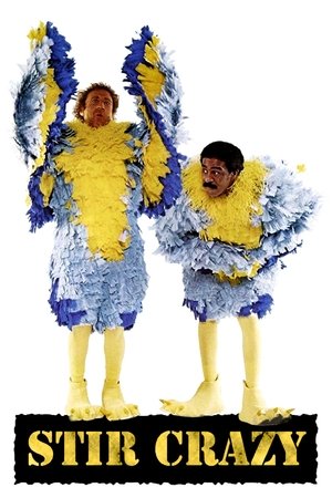 Stir Crazy - Vj Jingo
