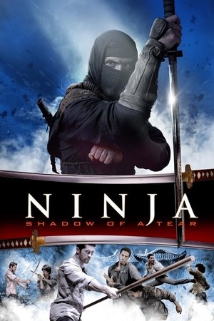 Ninja Shadow of a Tear - Vj Jingo