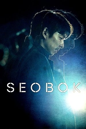 Seobok - Vj Shield