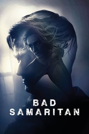 Bad Samaritan - Vj Kevin