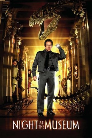 Night at the Museum - Vj Emmy