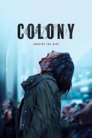 Colony - Vj Junior