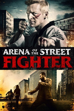 Arena of the Street Fighter - Vj Jingo