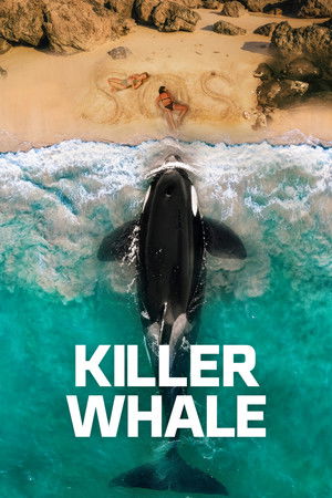 Killer Whale - Vj Soul
